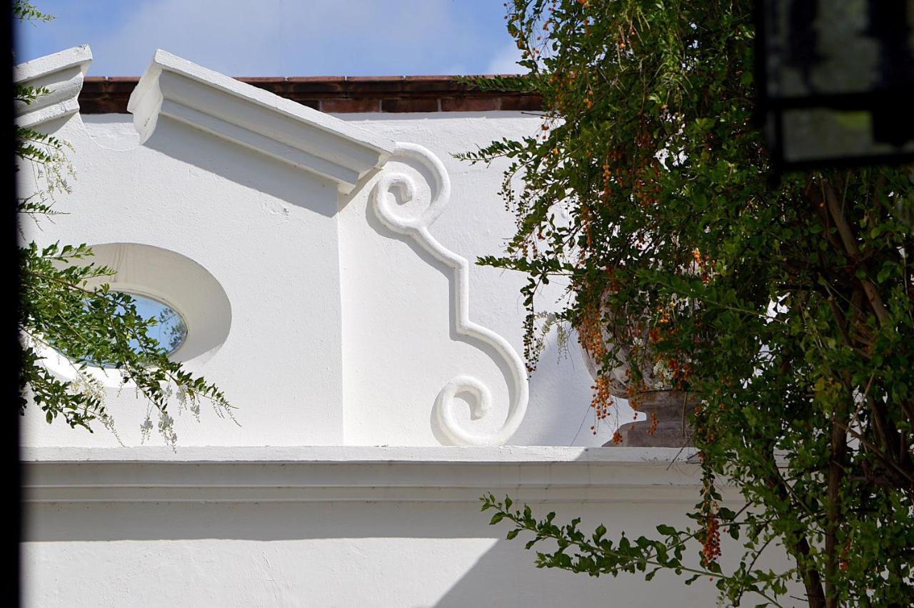 Casa De Los Olivos San Miguel de Allende Exterior foto